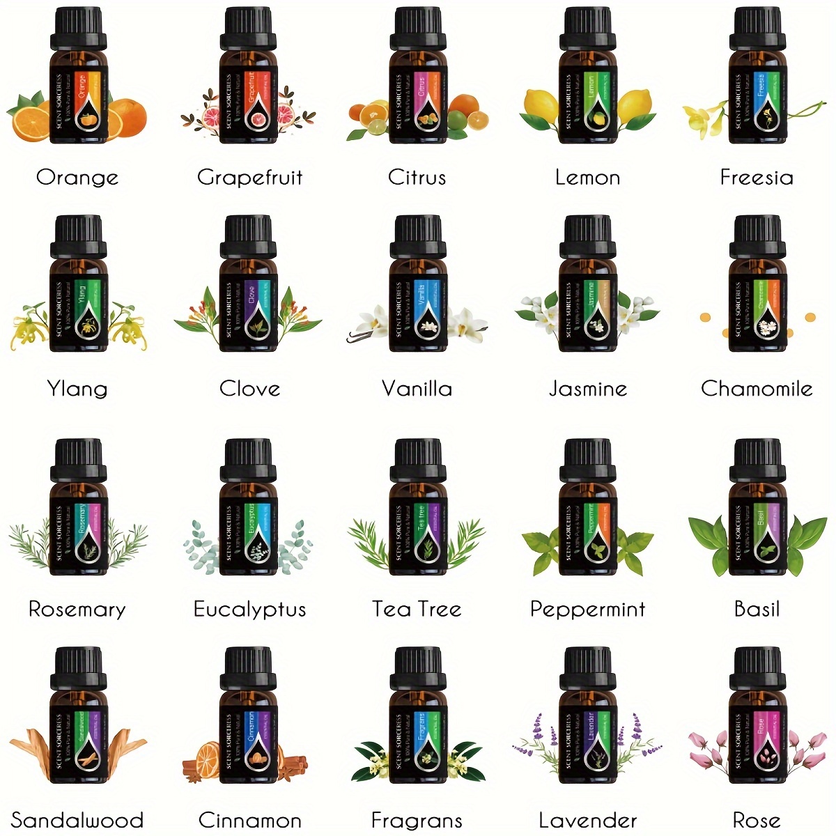 مجموعة من 20 زجاجة زيوت عطرية  - مراجعة Perfume Fragrance Oil وسعره